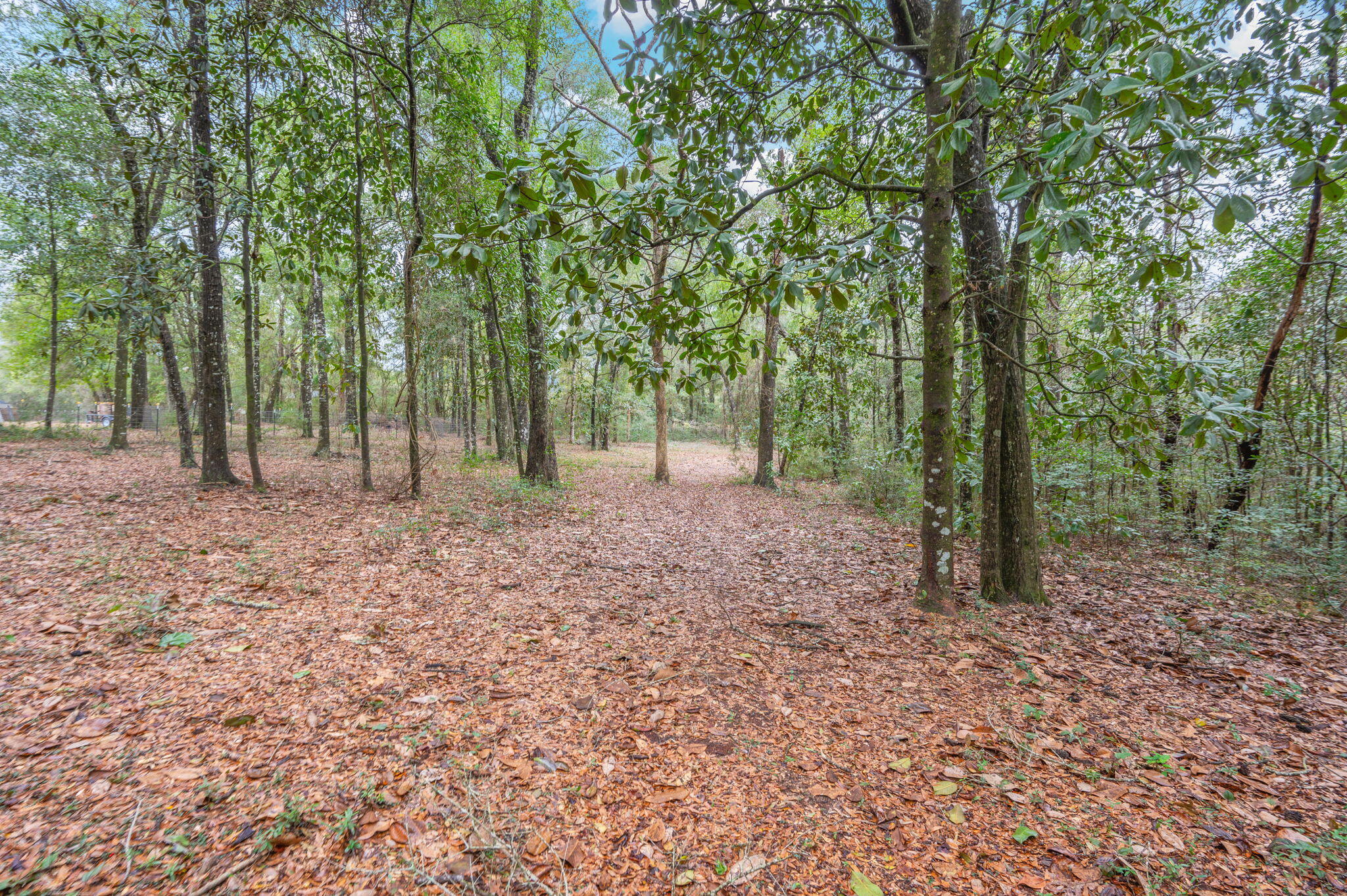 4.69 Acres Jv Woolley Road Crestview, FL 32539 - Photo 10 of 13 20-web-or-mls-jv-woolley-rd