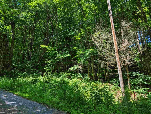 $9,999 | Alpendorf Avenue, Readsboro, VT 05350