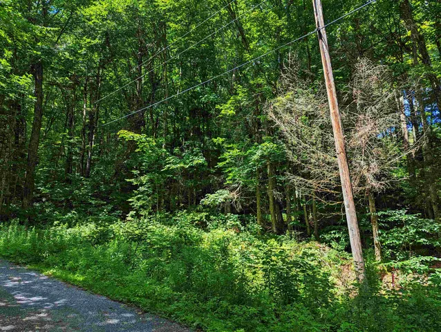 $16,000 | Alpendorf Avenue, Readsboro, VT 05350
