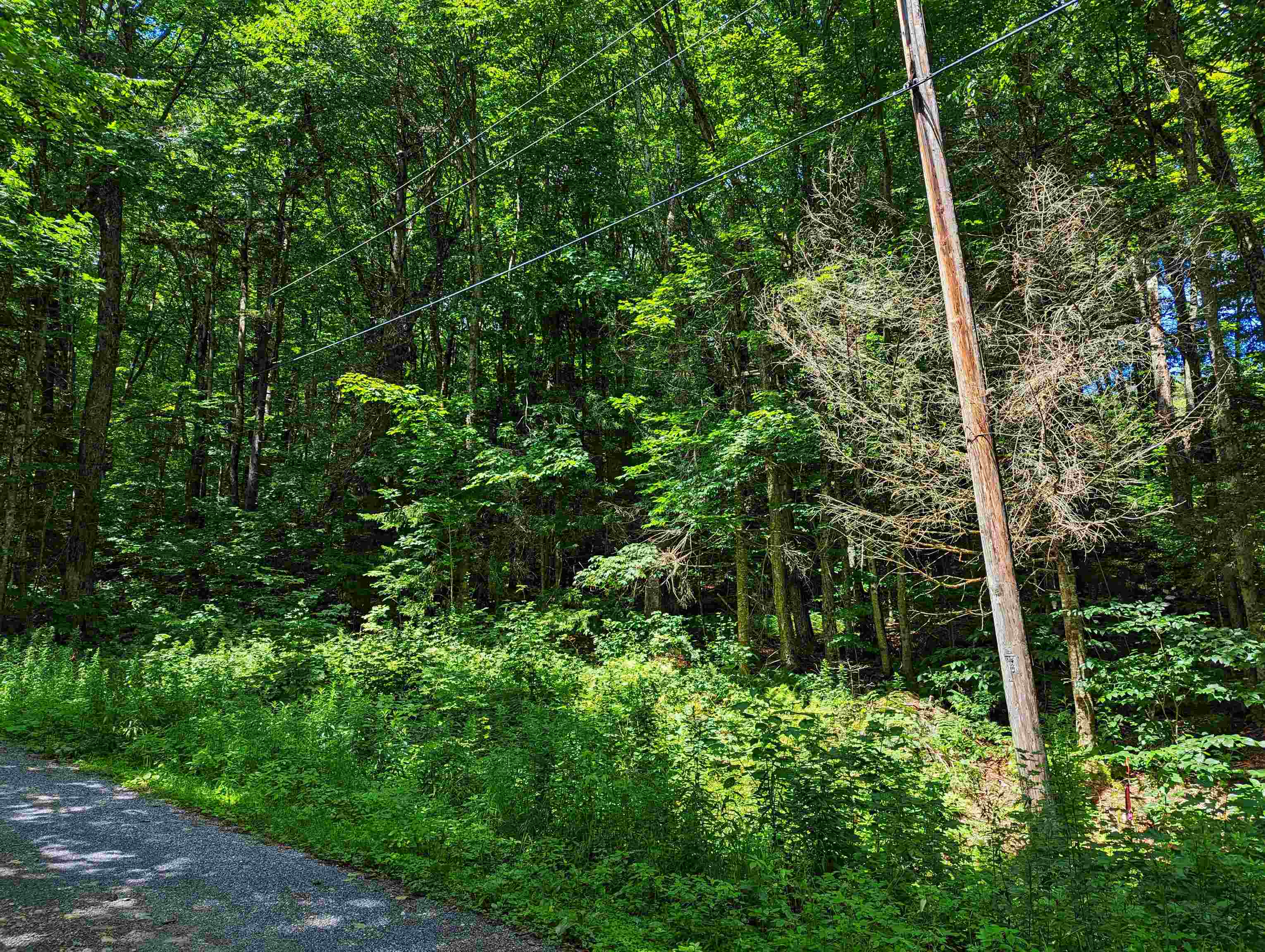 Alpendorf Avenue Readsboro, VT 05350 - Photo 3 of 8