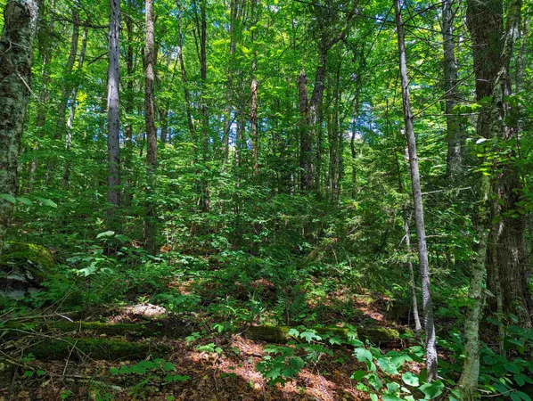 $9,999 | Alpendorf Avenue, Readsboro, VT 05350