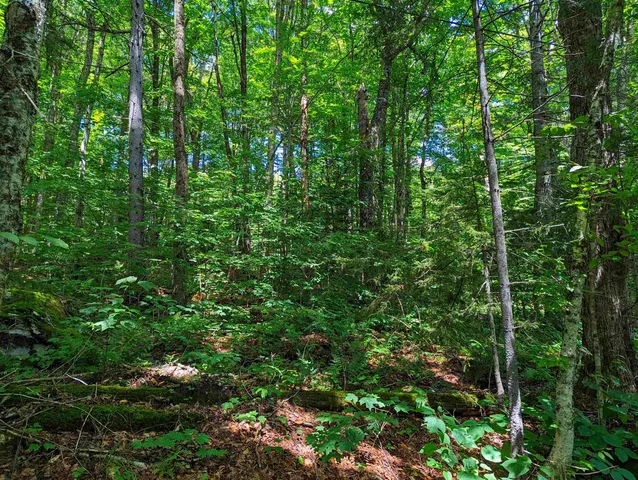 $16,000 | Alpendorf Avenue, Readsboro, VT 05350