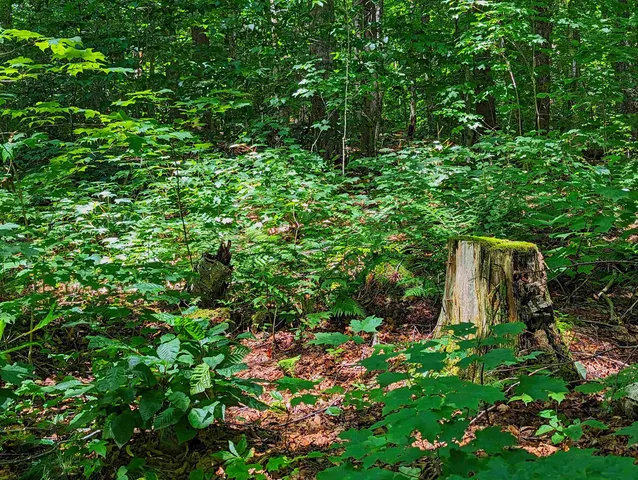 $16,000 | Alpendorf Avenue, Readsboro, VT 05350