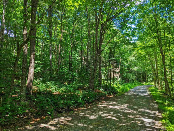 $9,999 | Alpendorf Avenue, Readsboro, VT 05350