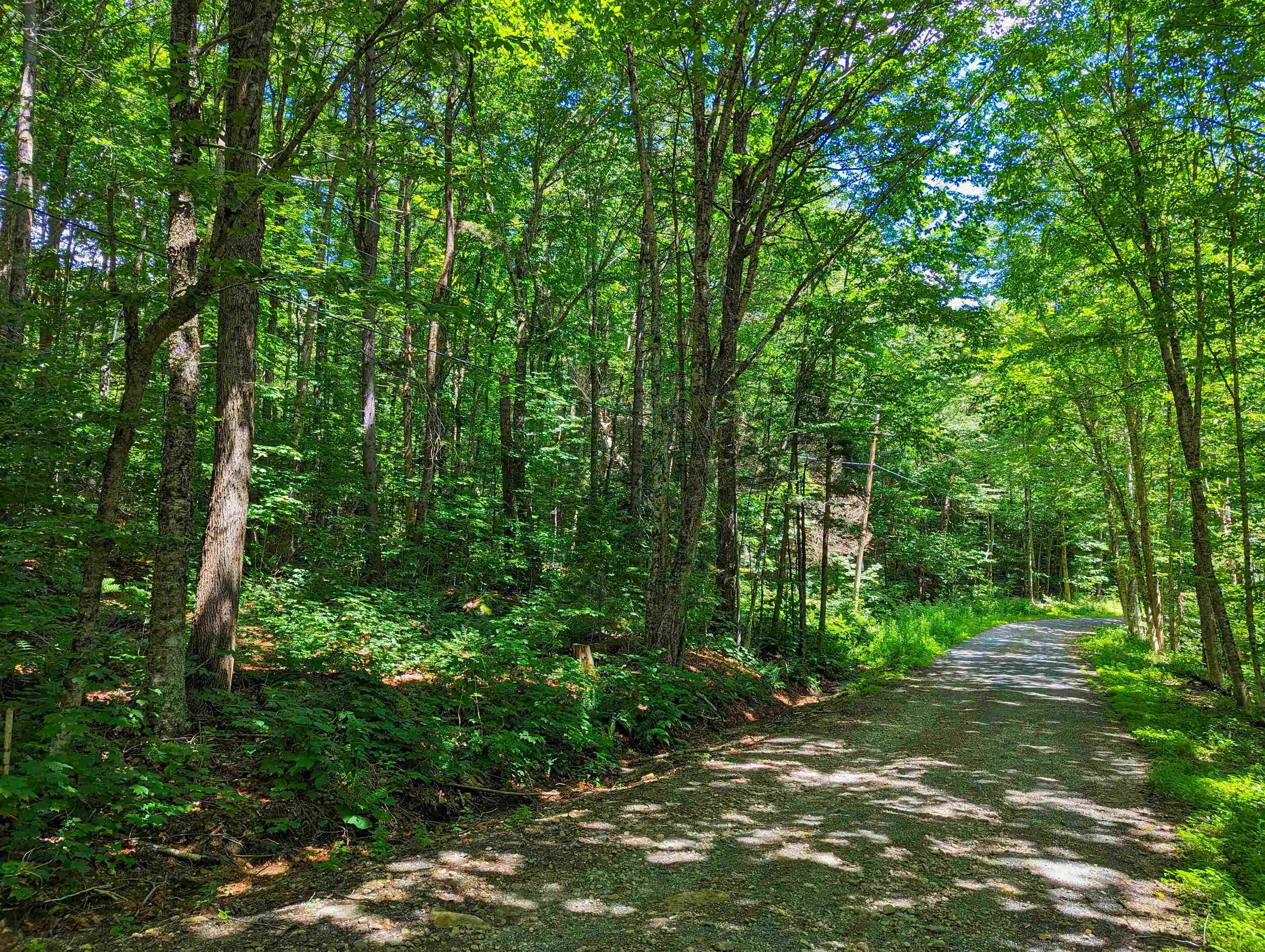 Alpendorf Avenue Readsboro, VT 05350 - Photo 6 of 8