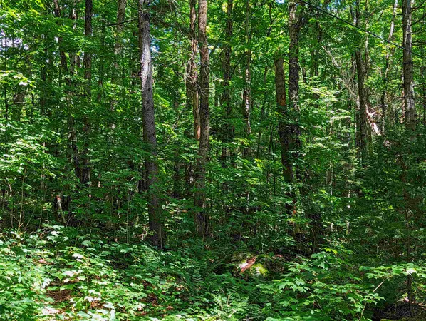 $9,999 | Alpendorf Avenue, Readsboro, VT 05350