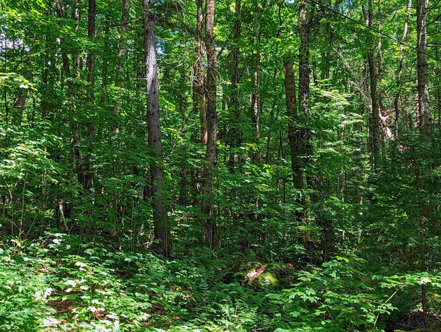 $16,000 | Alpendorf Avenue, Readsboro, VT 05350