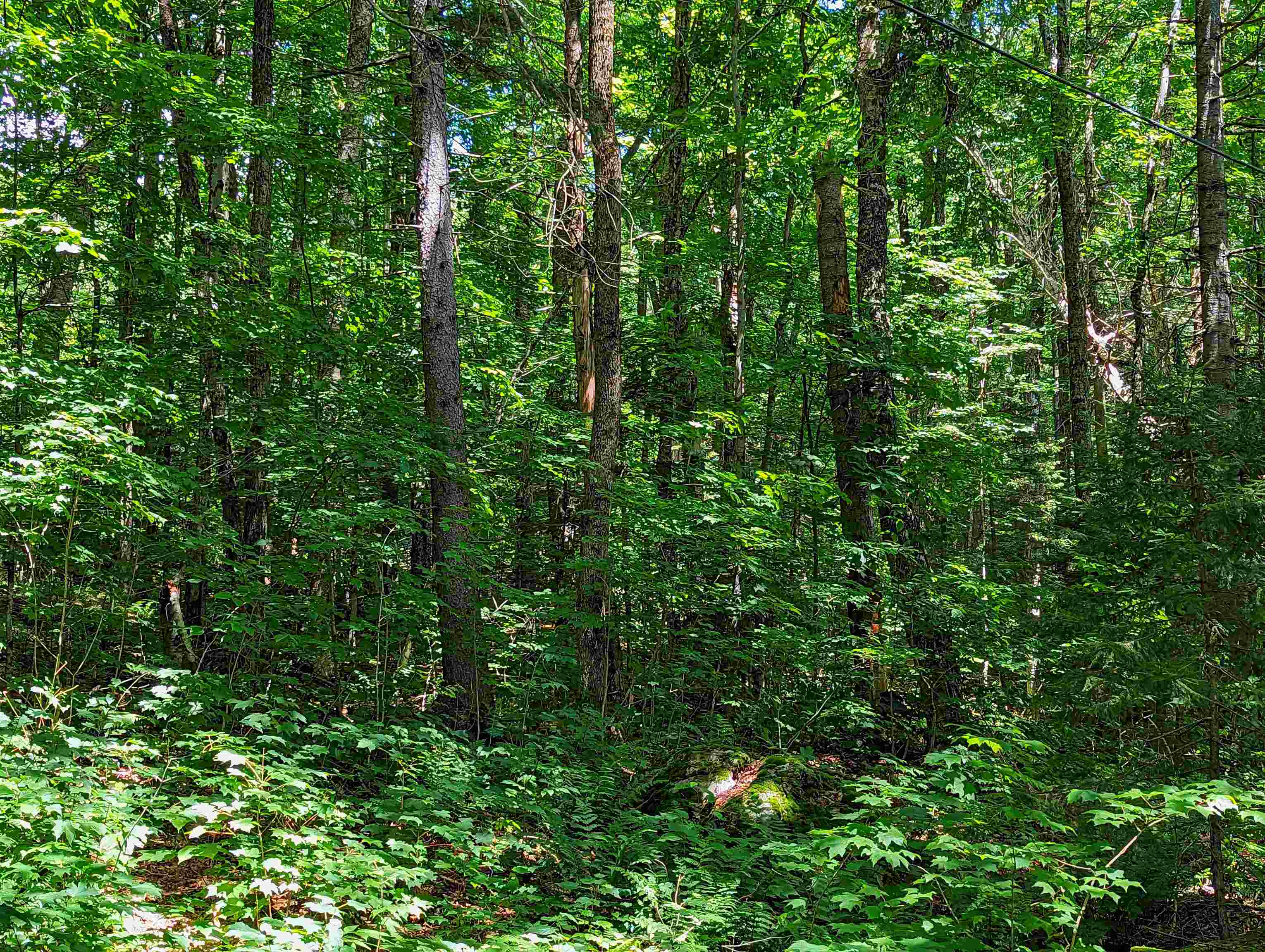Alpendorf Avenue Readsboro, VT 05350 - Photo 7 of 8
