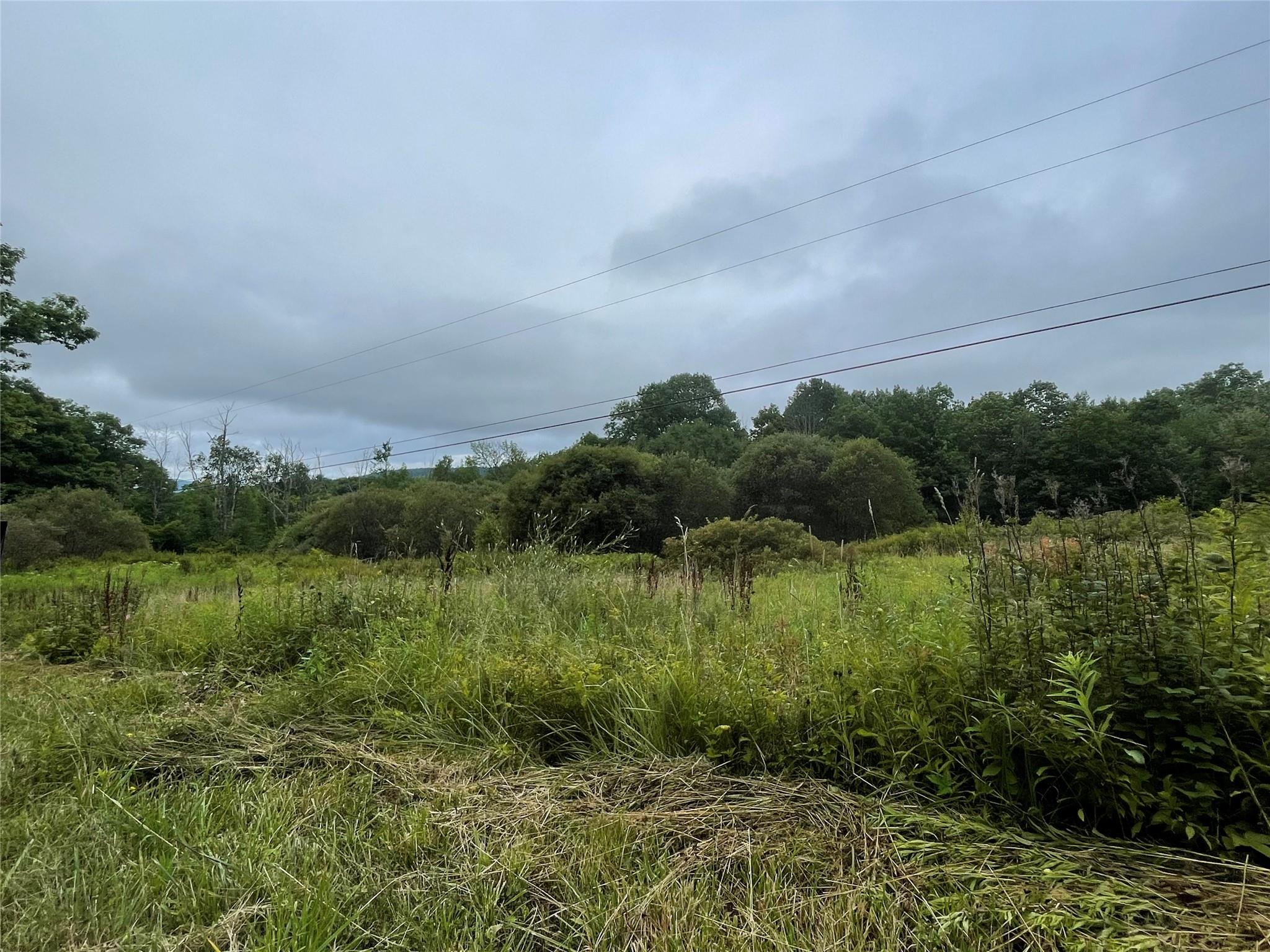 Basil Todd Road Fleischmanns, NY 12430 - Photo 1 of 8 a view of a lake with a outdoor space