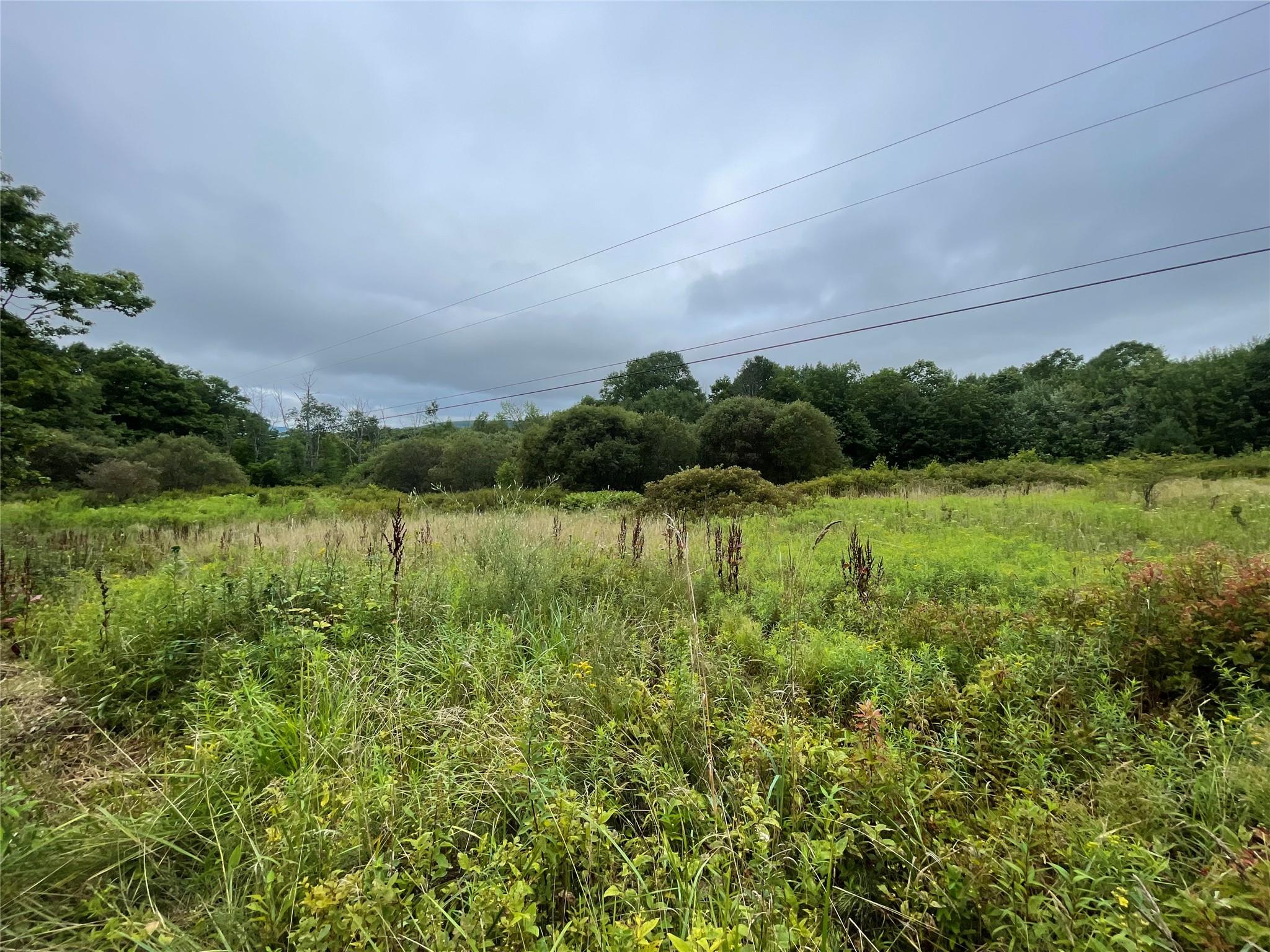 Basil Todd Road Fleischmanns, NY 12430 - Photo 4 of 8 a view of a lake with a big yard