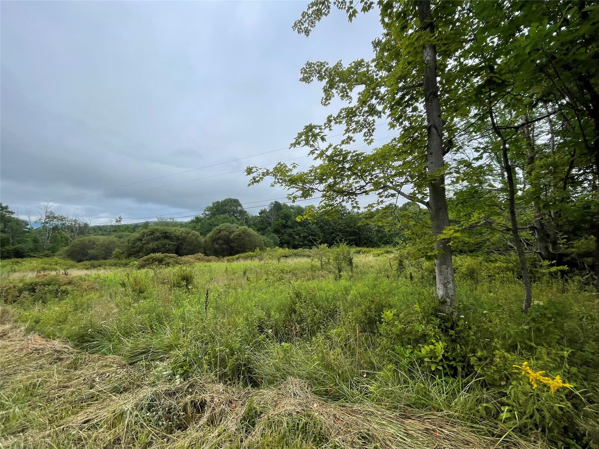 Basil Todd Road Fleischmanns, NY 12430 - Photo 5 of 8 a view of a lush green space