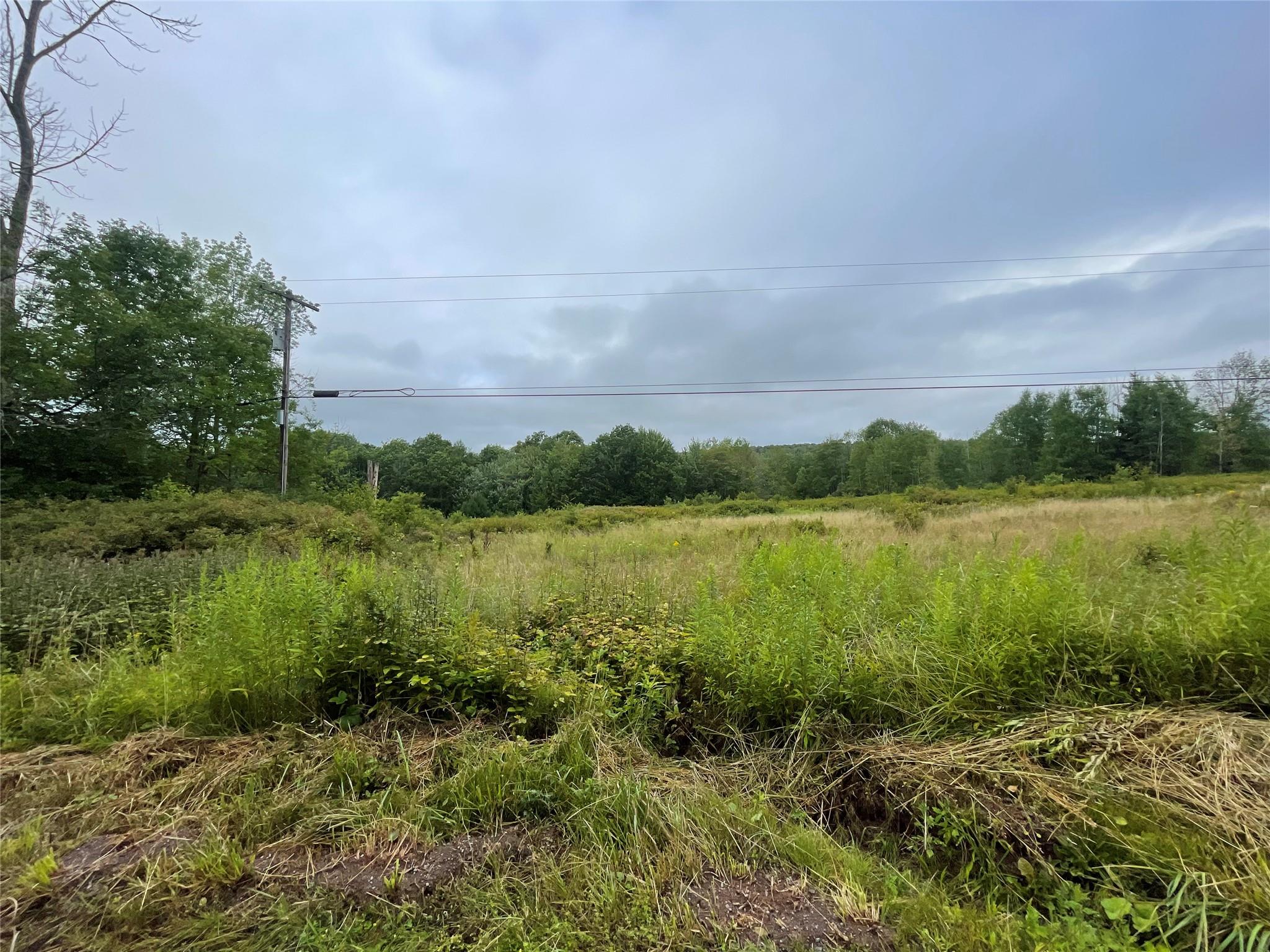 Basil Todd Road Fleischmanns, NY 12430 - Photo 6 of 8 a view of a lake with a city