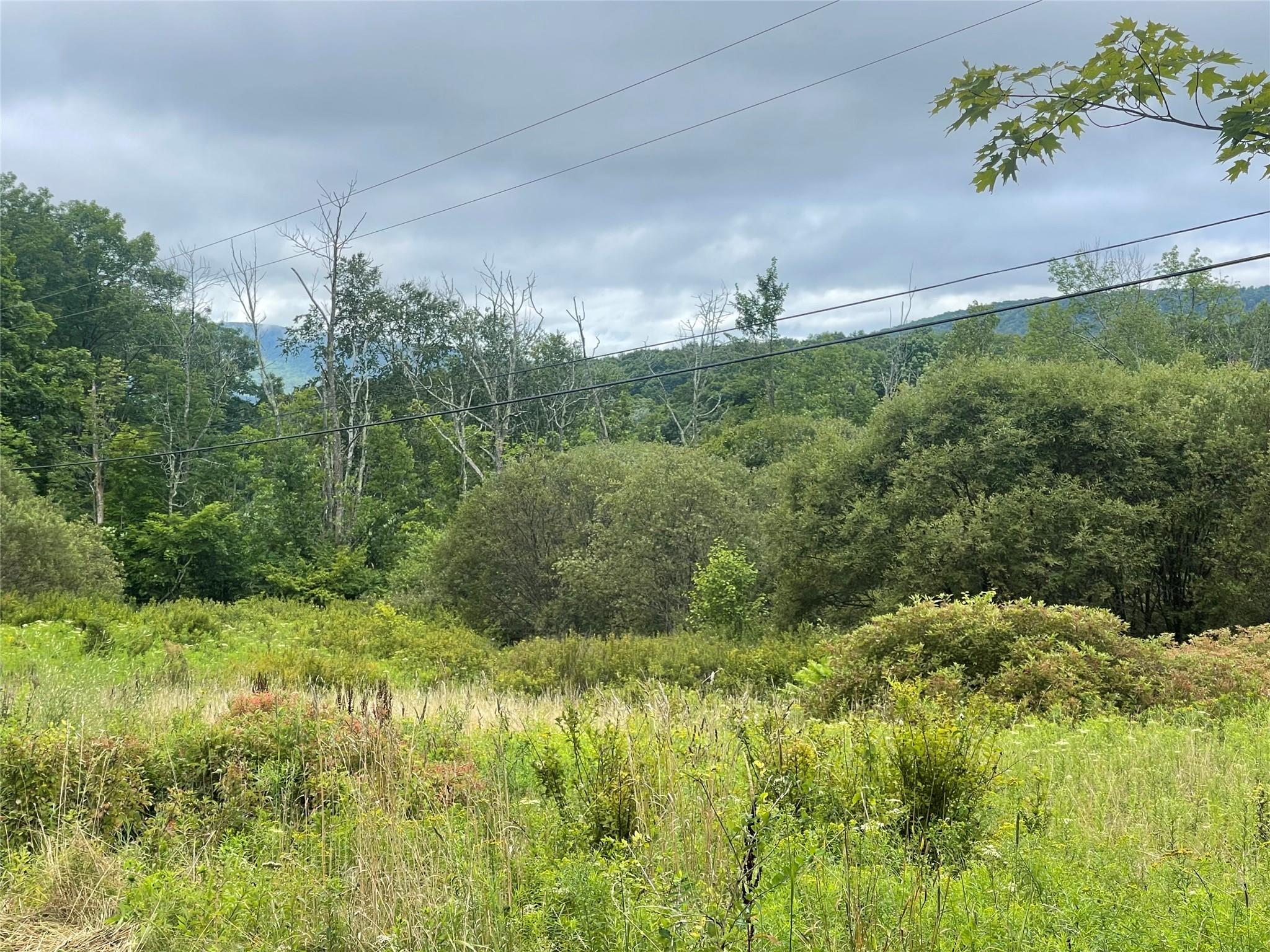 Basil Todd Road Fleischmanns, NY 12430 - Photo 8 of 8 a view of a garden