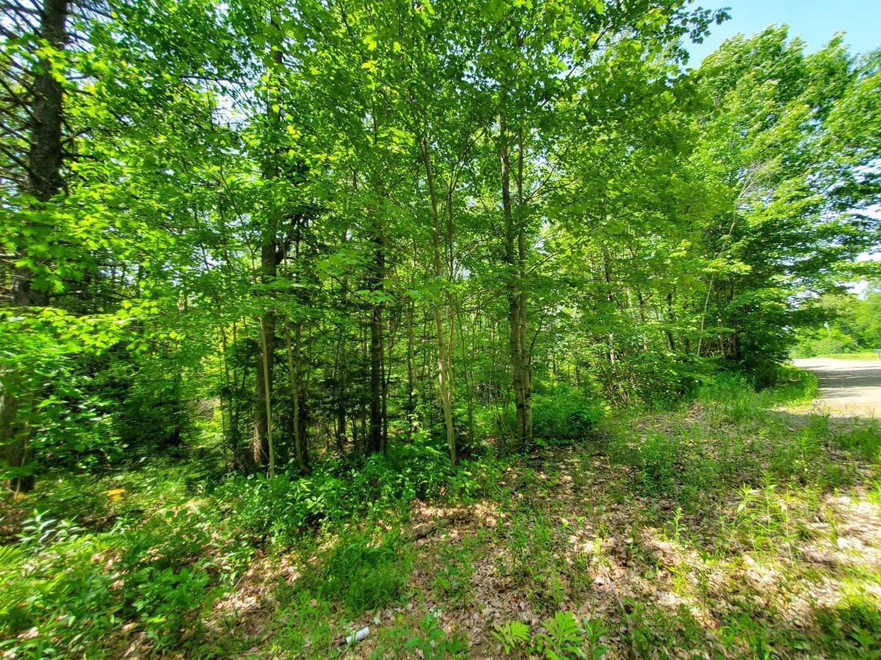 0 Morgan Road Burnham, ME 04922 - Photo 58 of 69 20250617_124605