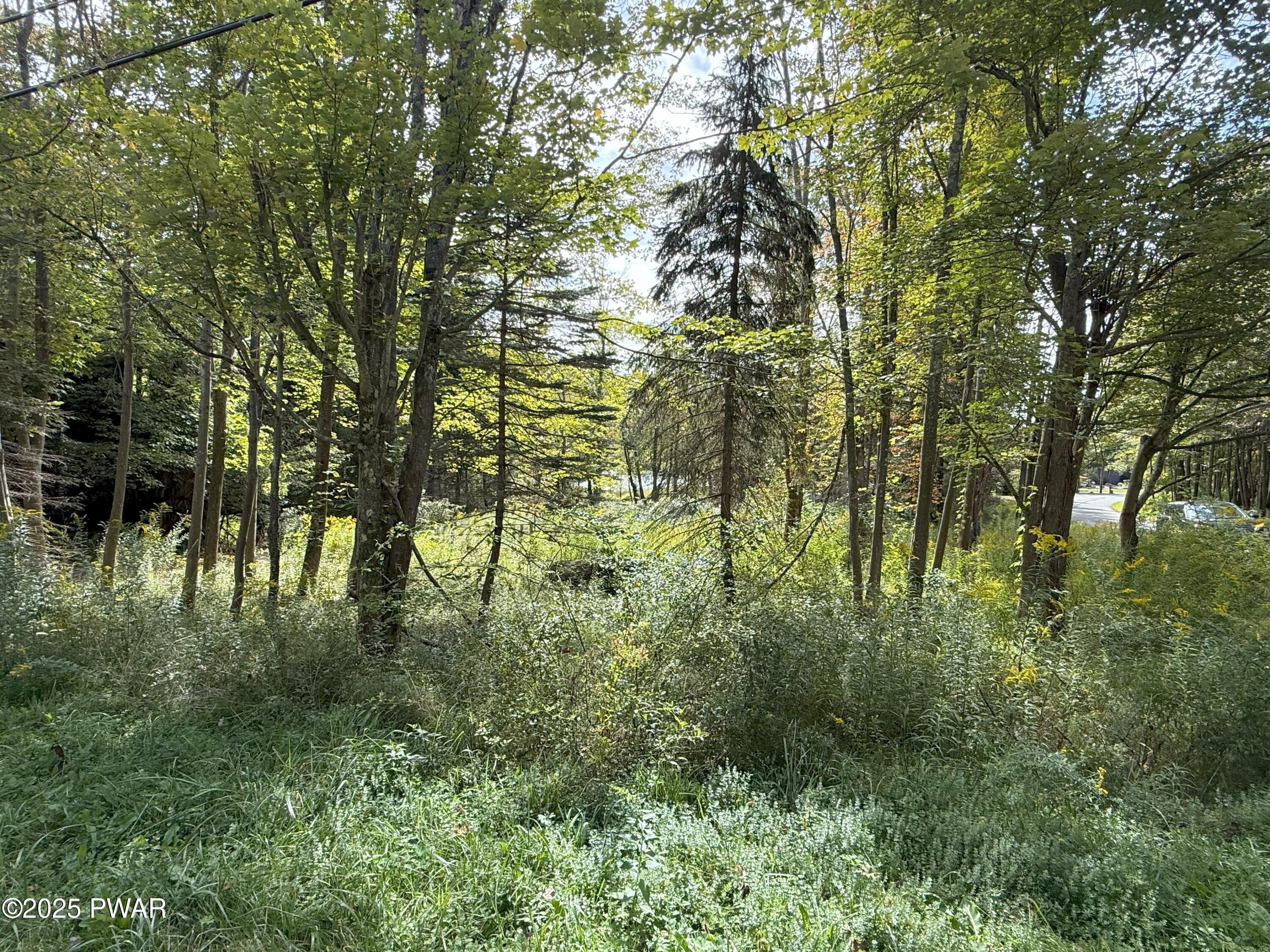 33 Crest View Road Lake Ariel, PA 18436 - Photo 2 of 59 Corner Lot