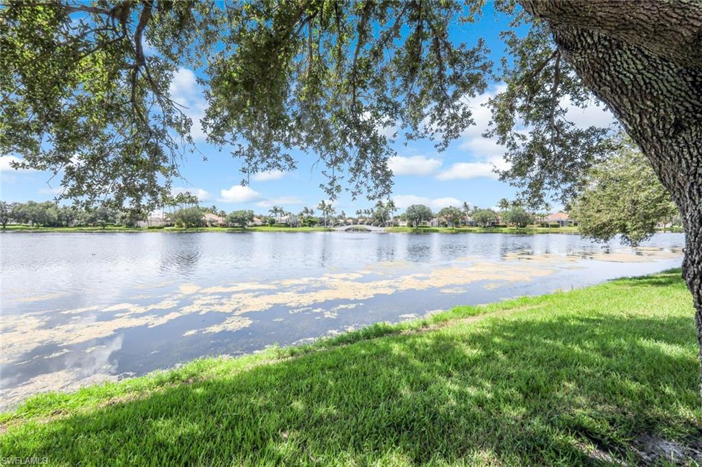 3794 Whidbey Way Naples, FL 34119 - Photo 30 of 46 a view of a lake with houses in the back yard