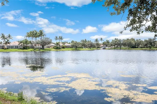 a front view of a house with yard patio and green space