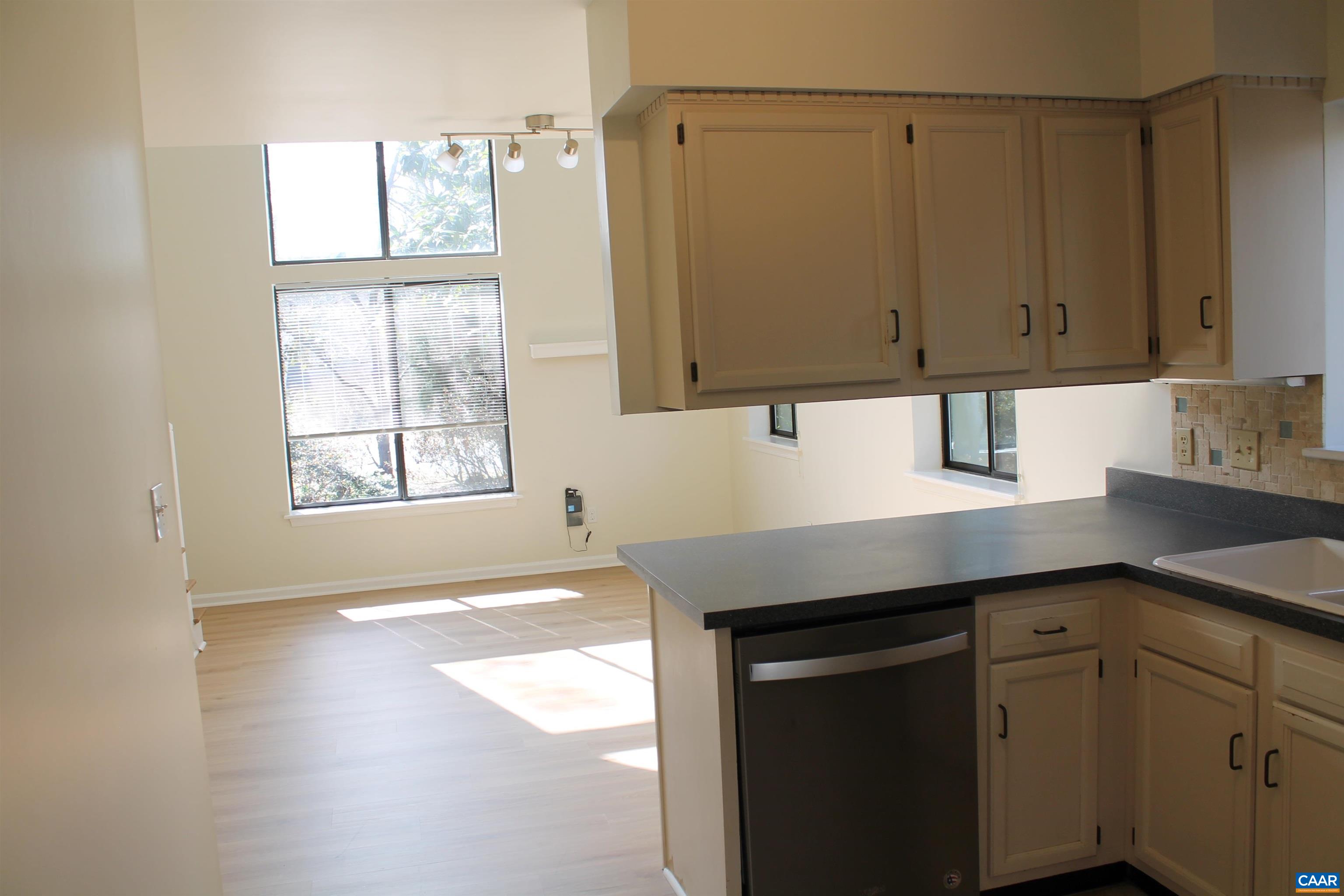 118 Mill Creek Drive Charlottesville, VA 22902 - Photo 19 of 30 a kitchen with a sink a window and cabinets