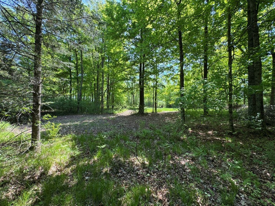 W17810 Eland Road Wittenberg, WI 54499 - Photo 81 of 89