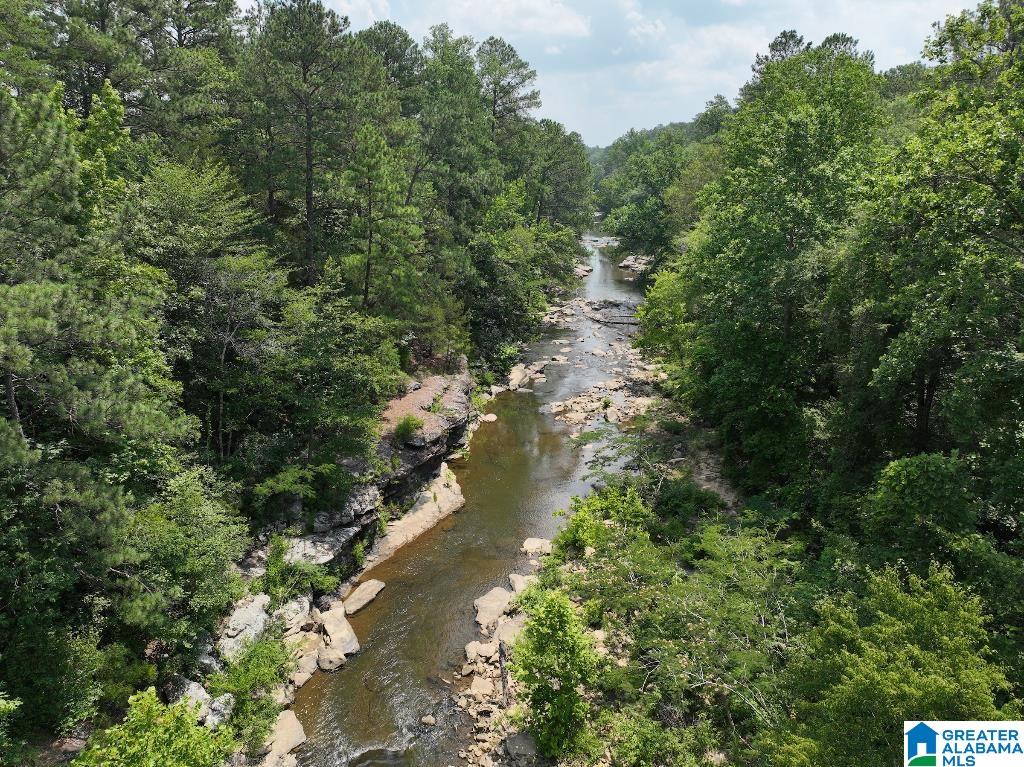 11 11 Foot Road Oakman, AL 35579 - Photo 14 of 25