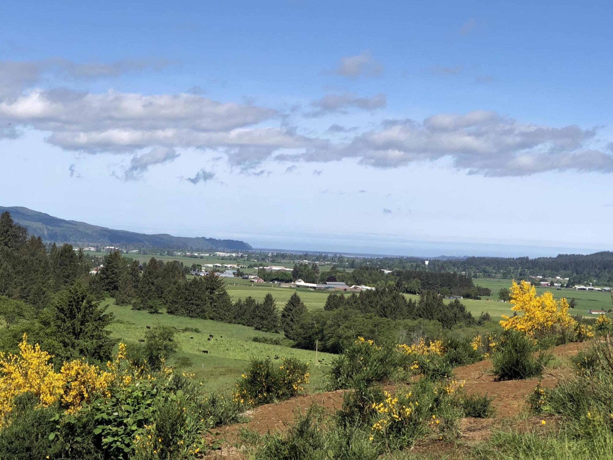 201 Hodgdon Road Tillamook, OR 97141 - Photo 21 of 33 IMG_7823