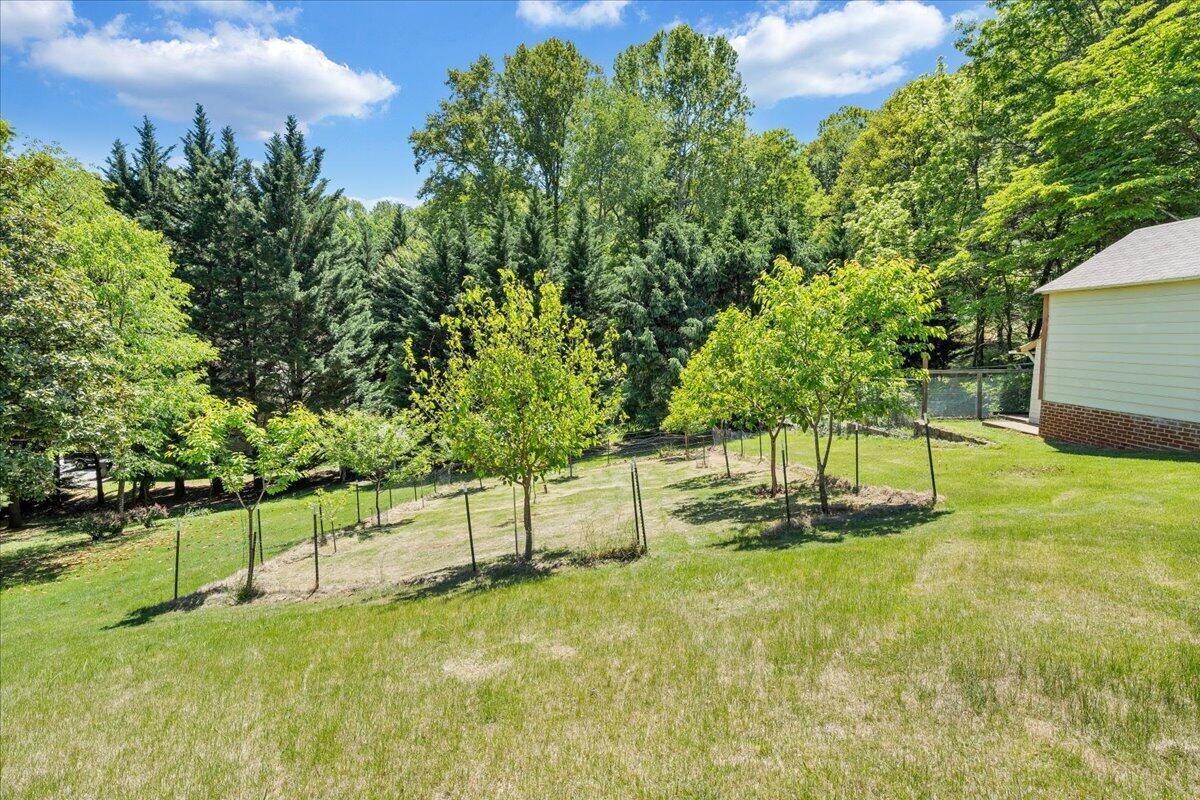 4434 Rosecrest Road Roanoke, VA 24018 - Photo 44 of 48 45-MIB01347