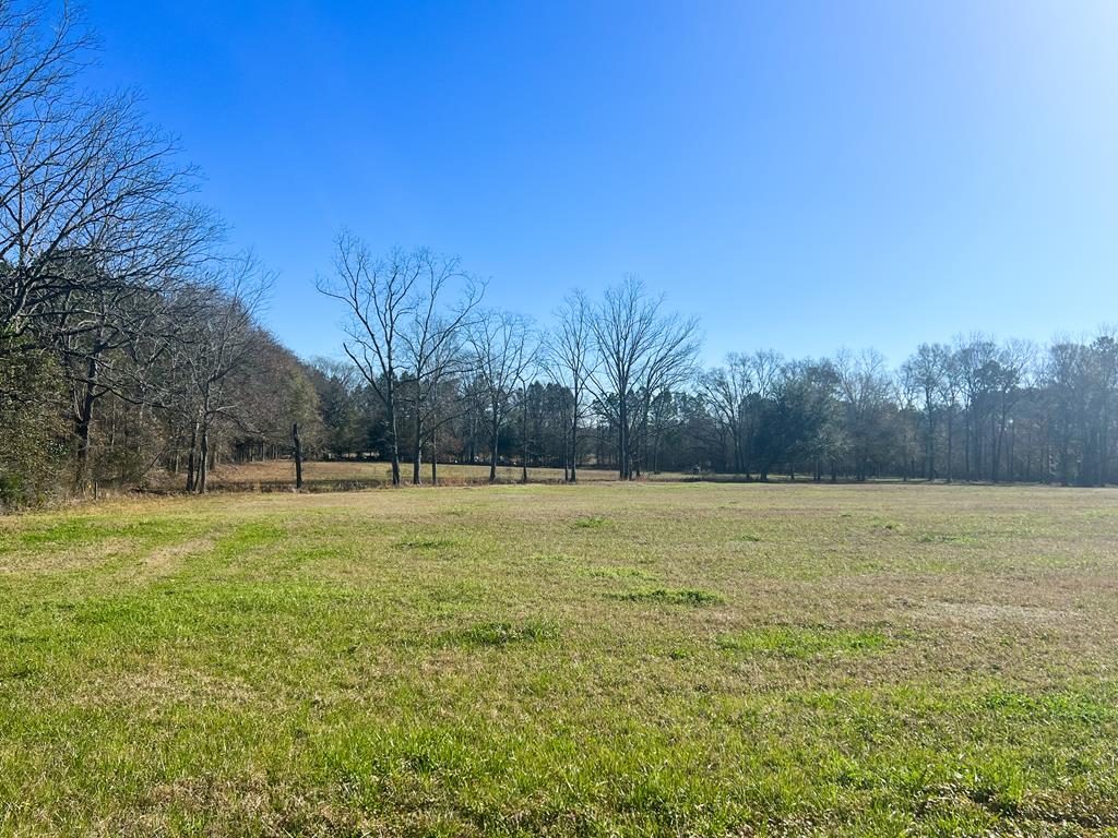 5455 Co Road Slocomb, AL 36375 - Photo 1 of 8