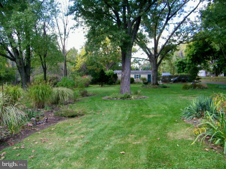 1464 Dillon Road Ambler, PA 19002 - Photo 8 of 25 Back Yard