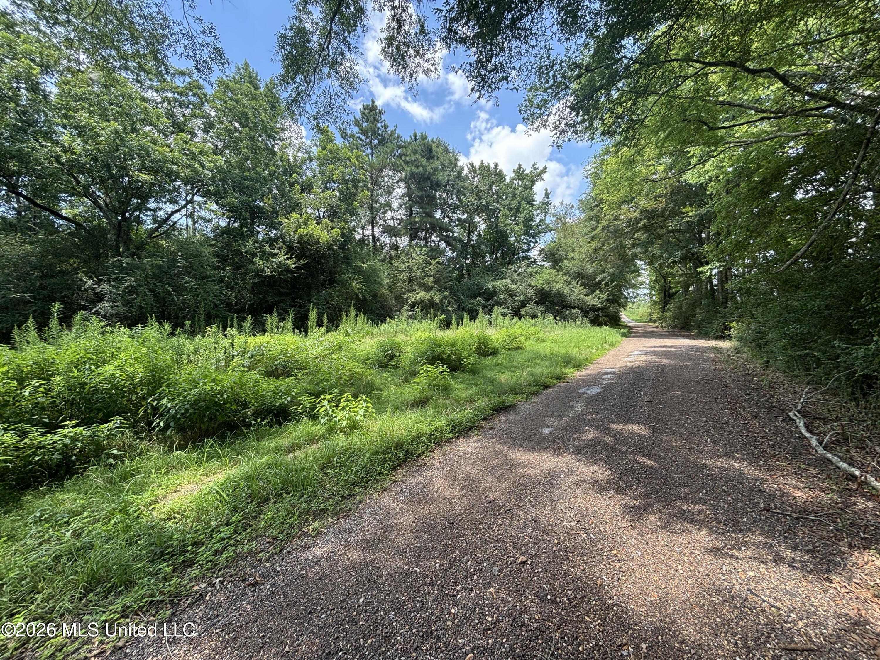 131 B County Road Morton, MS 39117 - Photo 19 of 25 IMG_4841