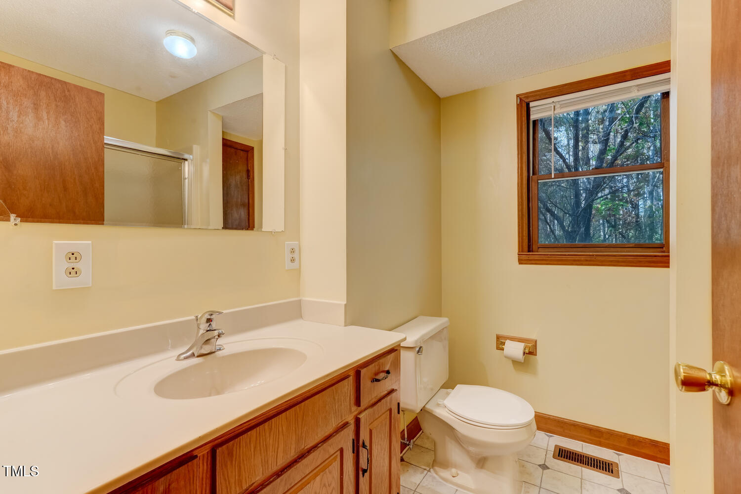 1365 Ashley Loop Reidsville, NC 27320 - Photo 24 of 55 a bathroom with a sink vanity mirror and toilet
