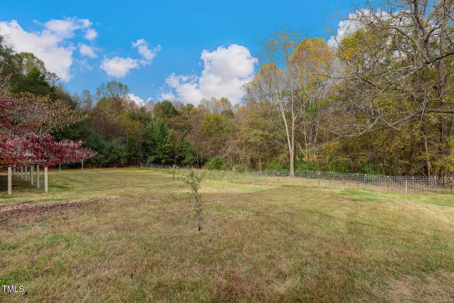 1365 Ashley Loop Reidsville, NC 27320 - Photo 34 of 55 a view of a field with a tree