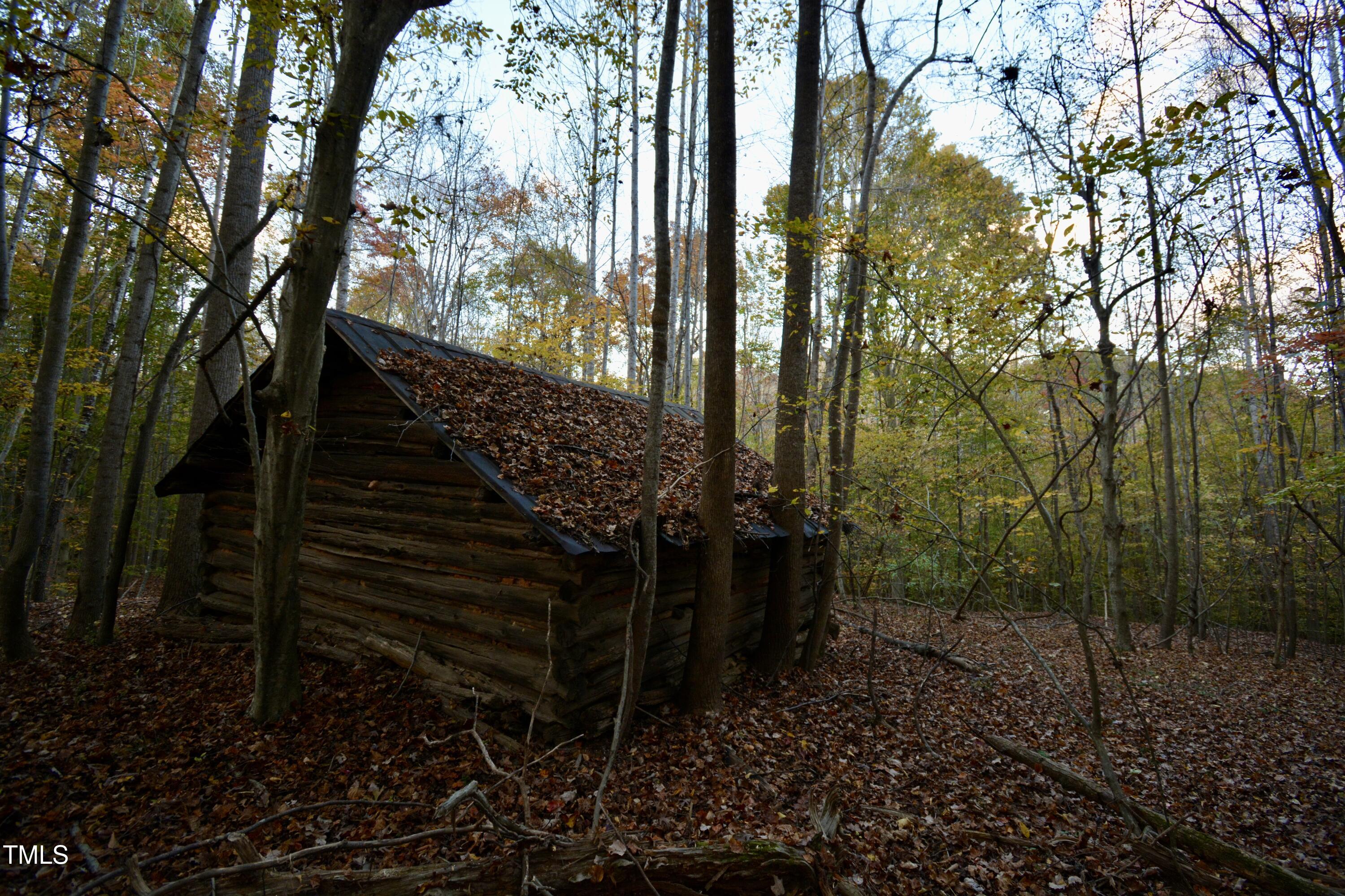 1365 Ashley Loop Reidsville, NC 27320 - Photo 44 of 55 a view of outdoor space and green space