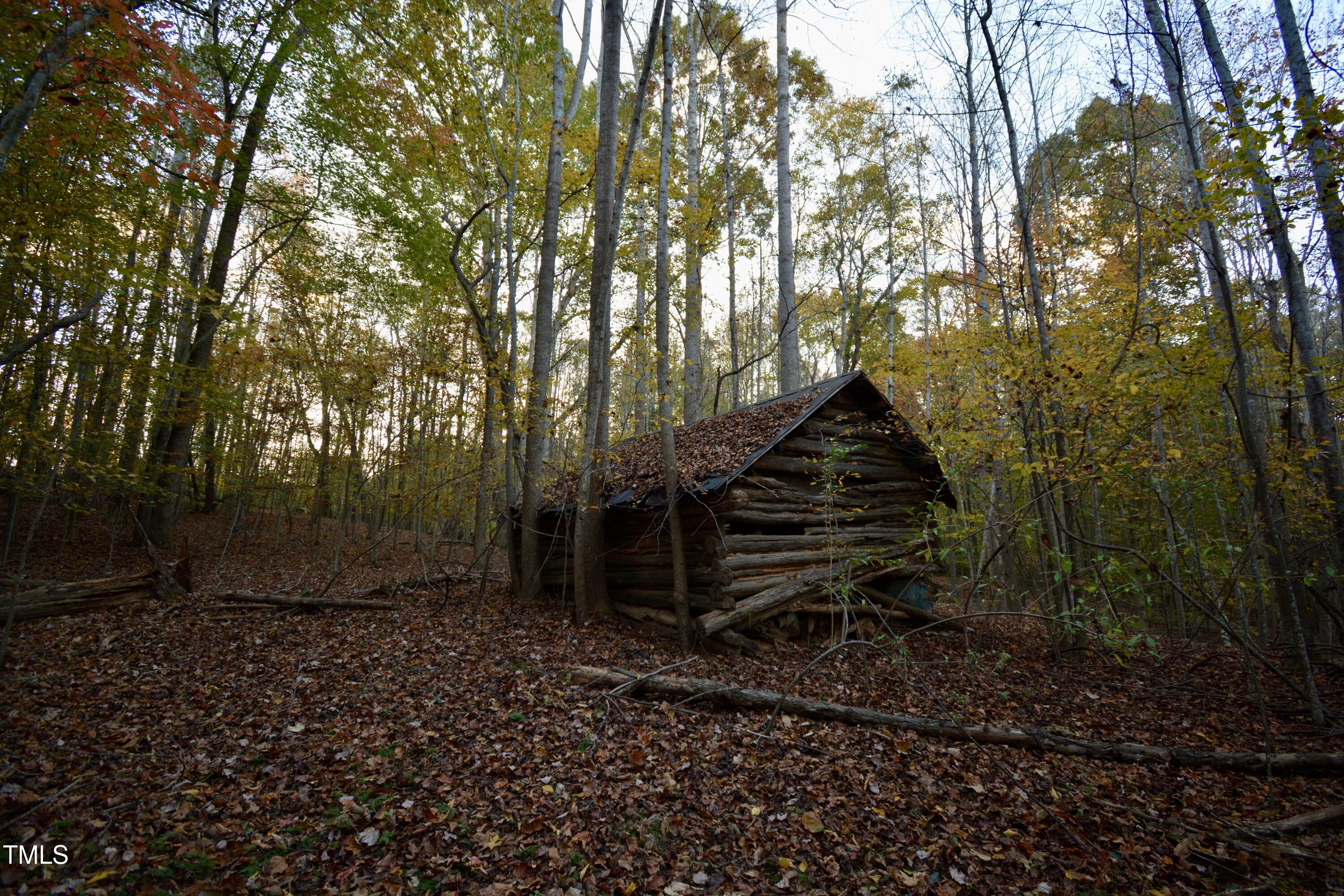 1365 Ashley Loop Reidsville, NC 27320 - Photo 45 of 55 a backyard of a house with lots of green space