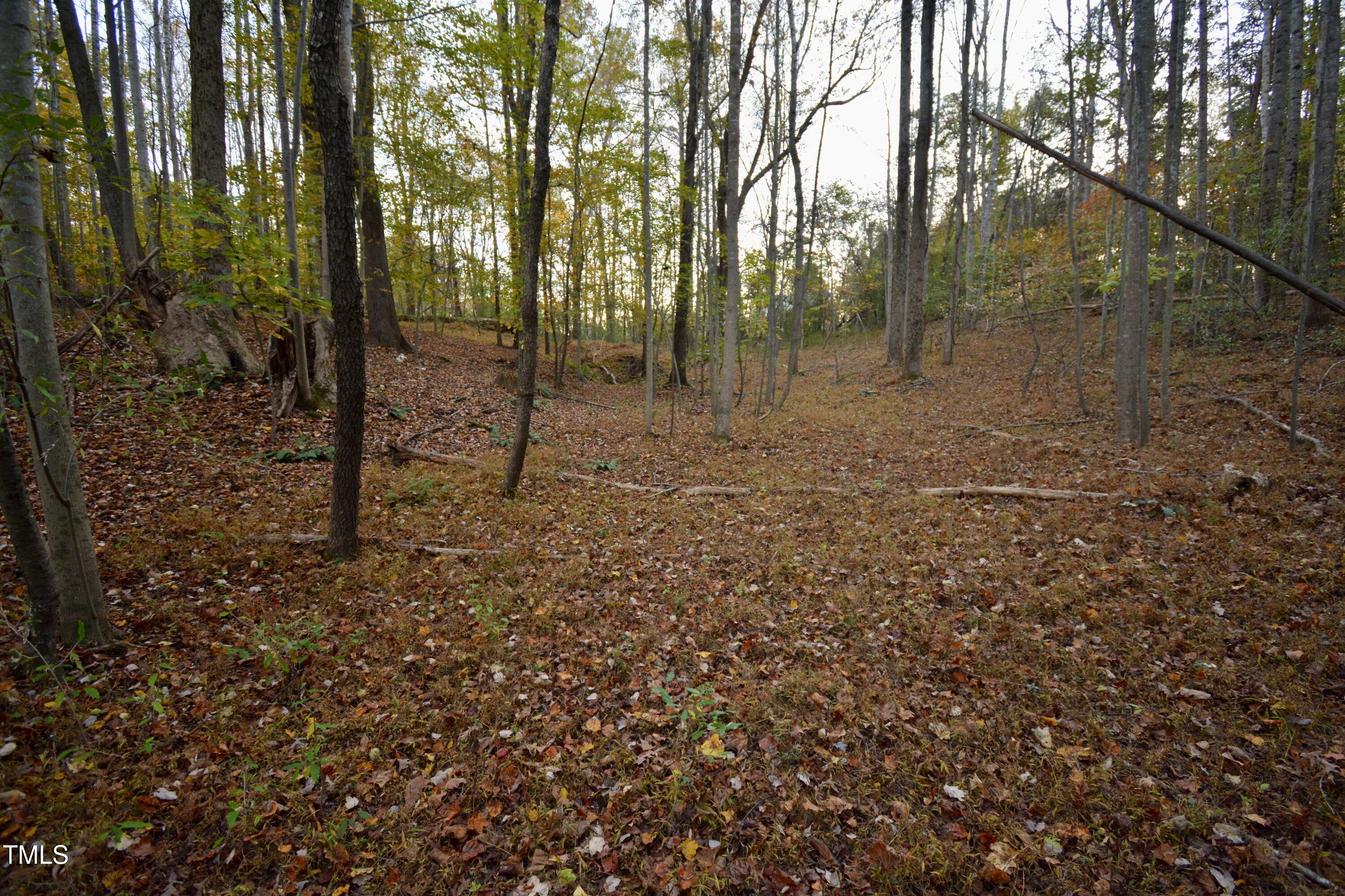 1365 Ashley Loop Reidsville, NC 27320 - Photo 55 of 55 a view of a forest with trees in the background