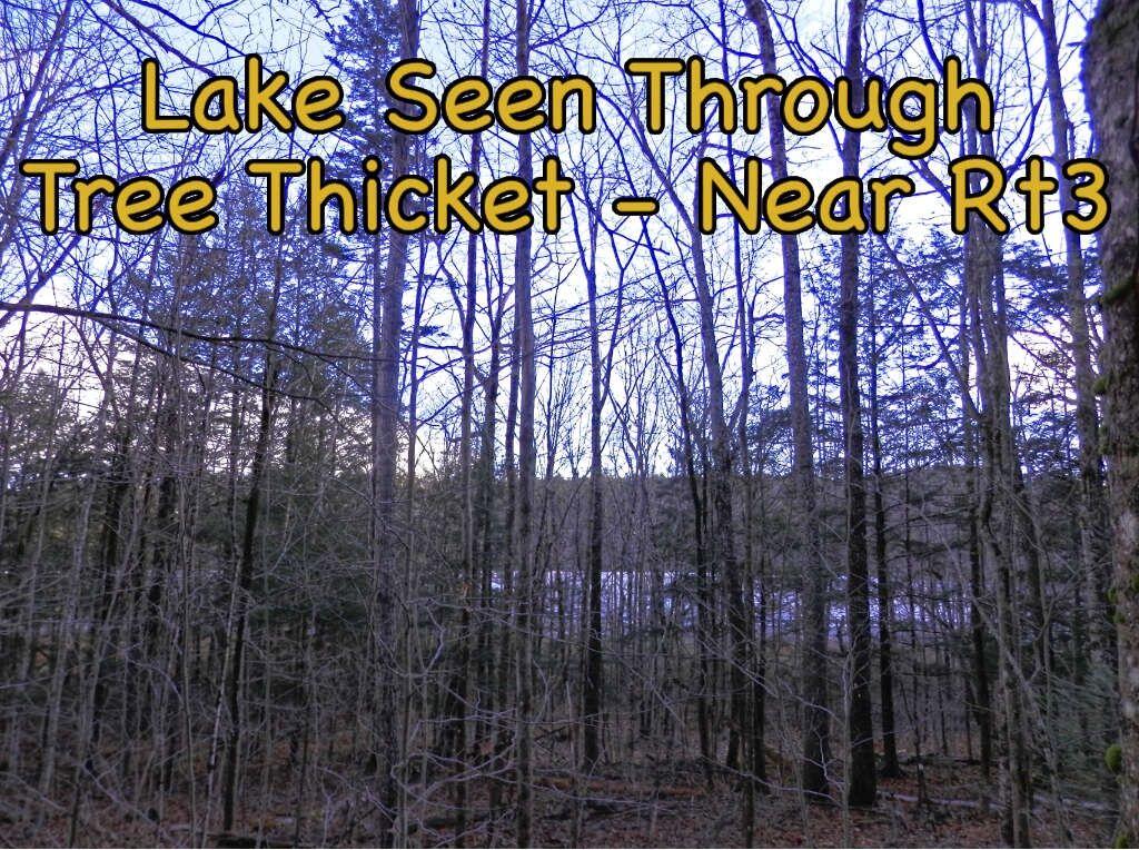 Lot 26-1 Stagecoach Road Liberty, ME 04949 - Photo 16 of 20 Land down closer to route 3
