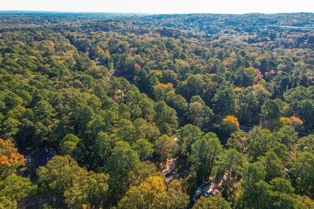 an aerial view of a houses with a lush green hillside