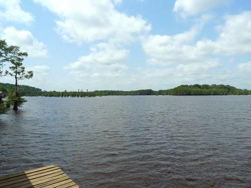 262 Pine Cove Road Goldonna, LA 71031 - Photo 20 of 22 Gallery Image 20