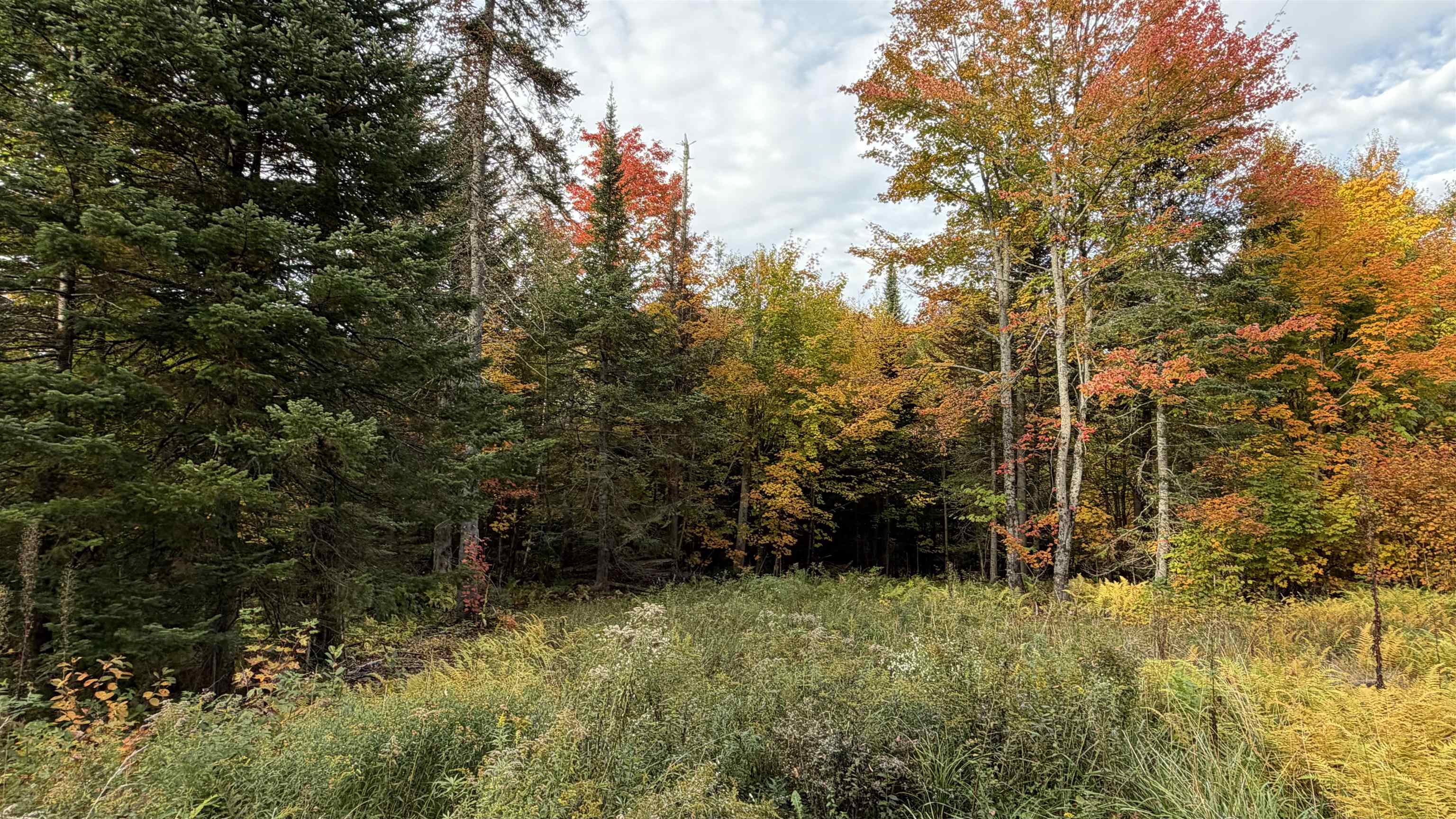 0 Shadow Lake Road Glover, VT 05839 - Photo 1 of 59 Gallery Image 1