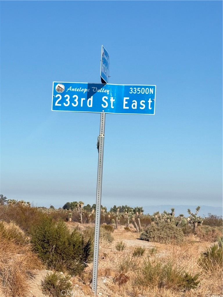 23503 East Ave Z Llano, CA 93544 - Photo 1 of 8 a street sign that is sitting on a rock