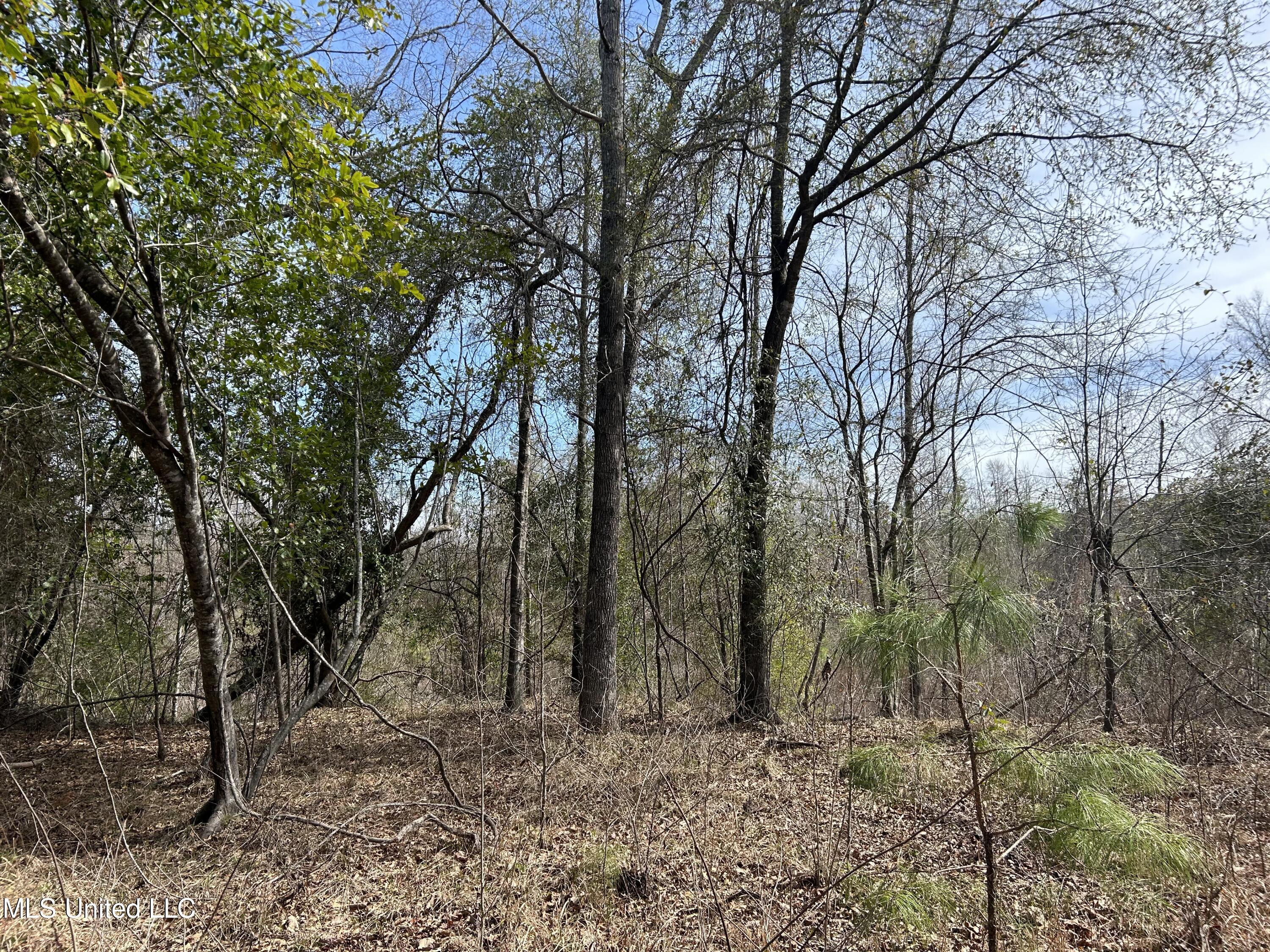 East Homochitto Road Gloster, MS 39638 - Photo 28 of 55 Photo Feb 27 2024, 11 35 08 AM