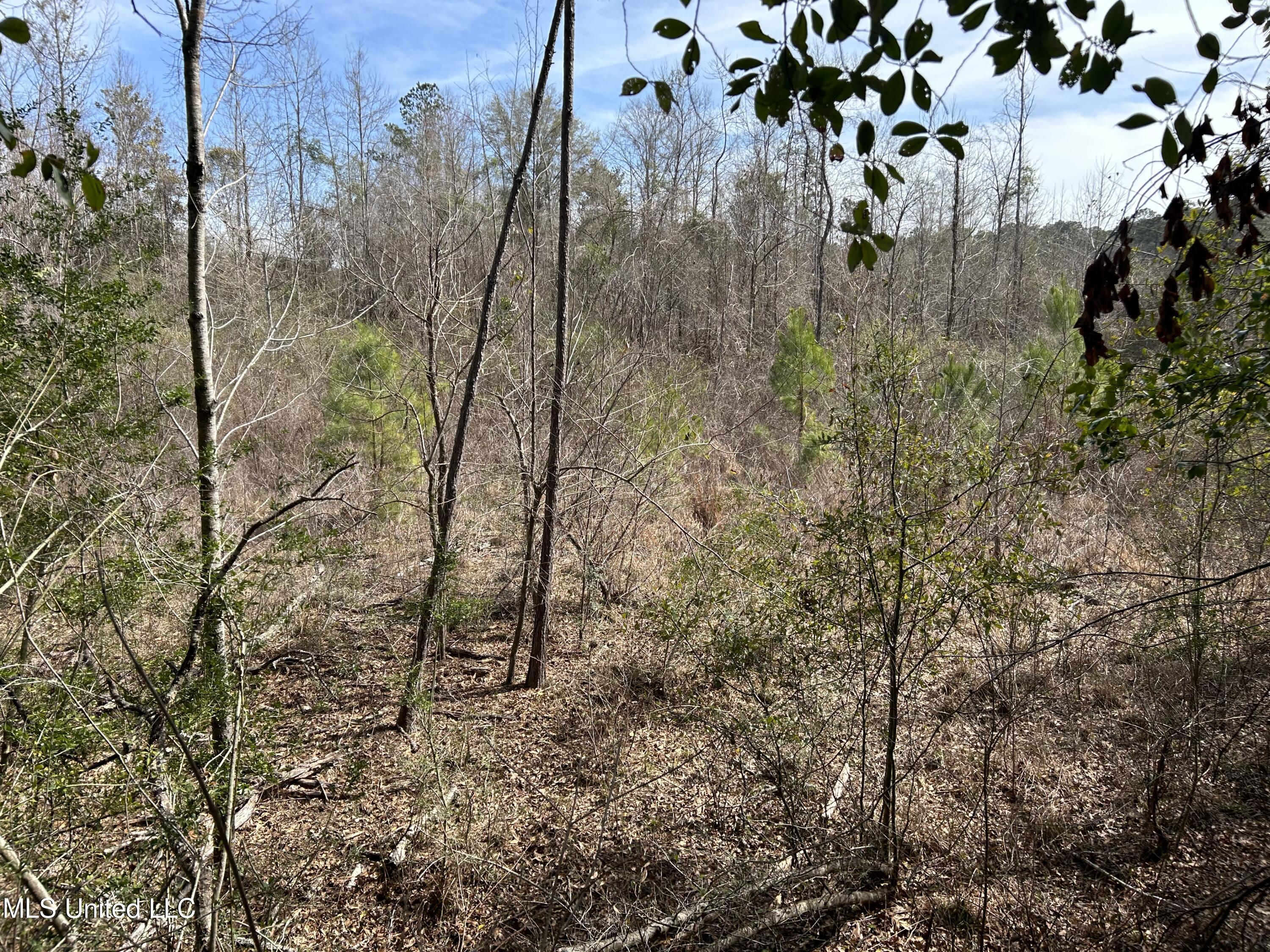 East Homochitto Road Gloster, MS 39638 - Photo 30 of 55 Photo Feb 27 2024, 11 35 49 AM