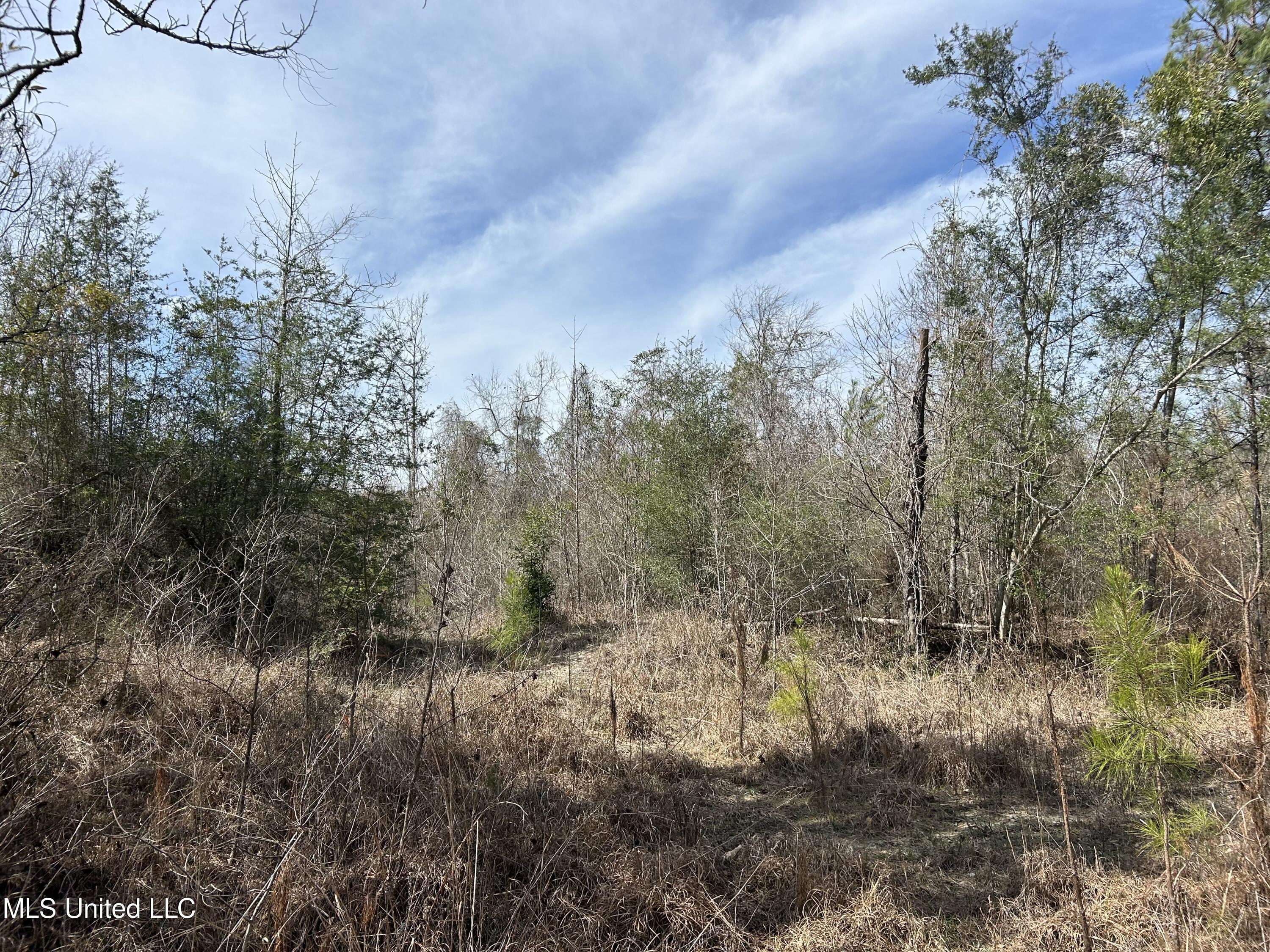 East Homochitto Road Gloster, MS 39638 - Photo 34 of 55 Photo Feb 27 2024, 11 56 11 AM