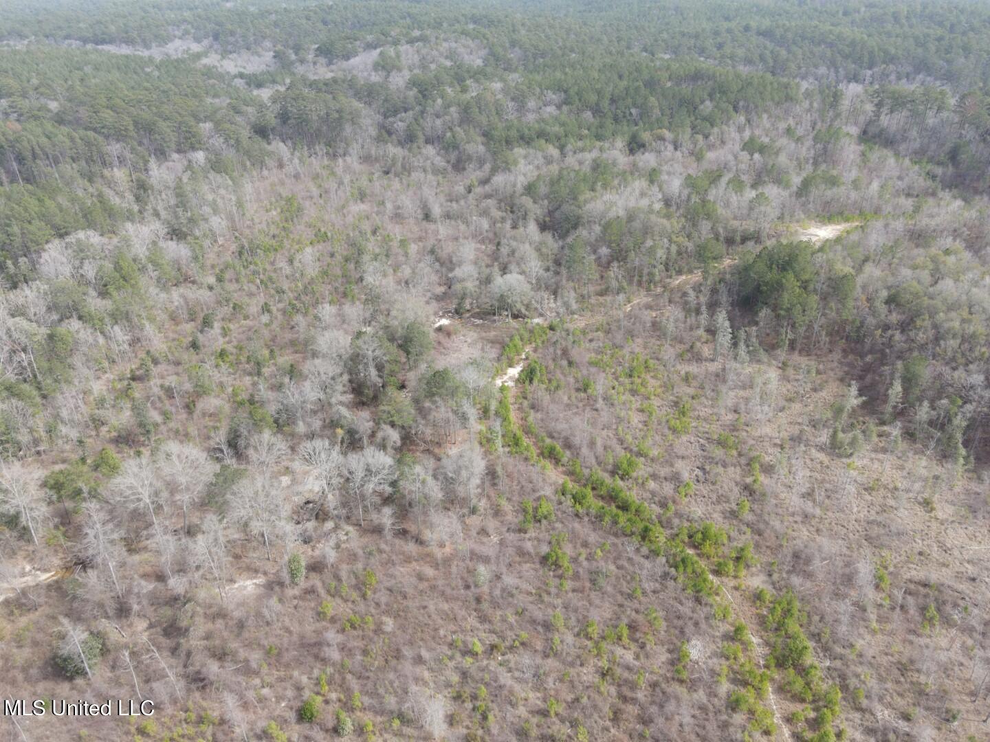 East Homochitto Road Gloster, MS 39638 - Photo 44 of 55 Photo Feb 27 2024, 12 51 54 PM (Large)