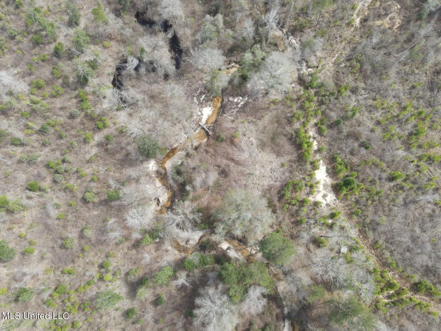 East Homochitto Road Gloster, MS 39638 - Photo 45 of 55 Photo Feb 27 2024, 12 52 16 PM (Large)
