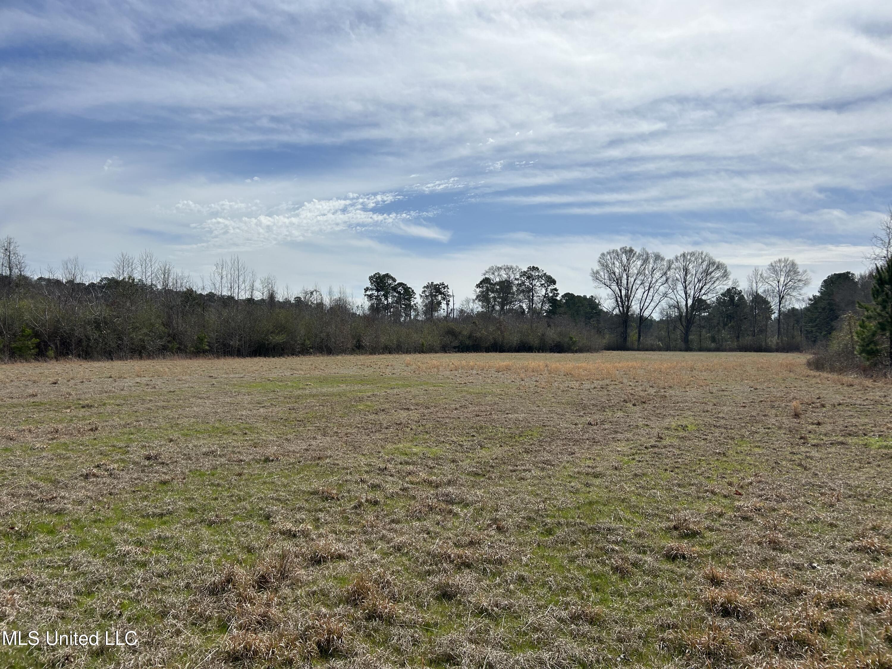 East Homochitto Road Gloster, MS 39638 - Photo 6 of 55 Photo Feb 27 2024, 11 05 18 AM
