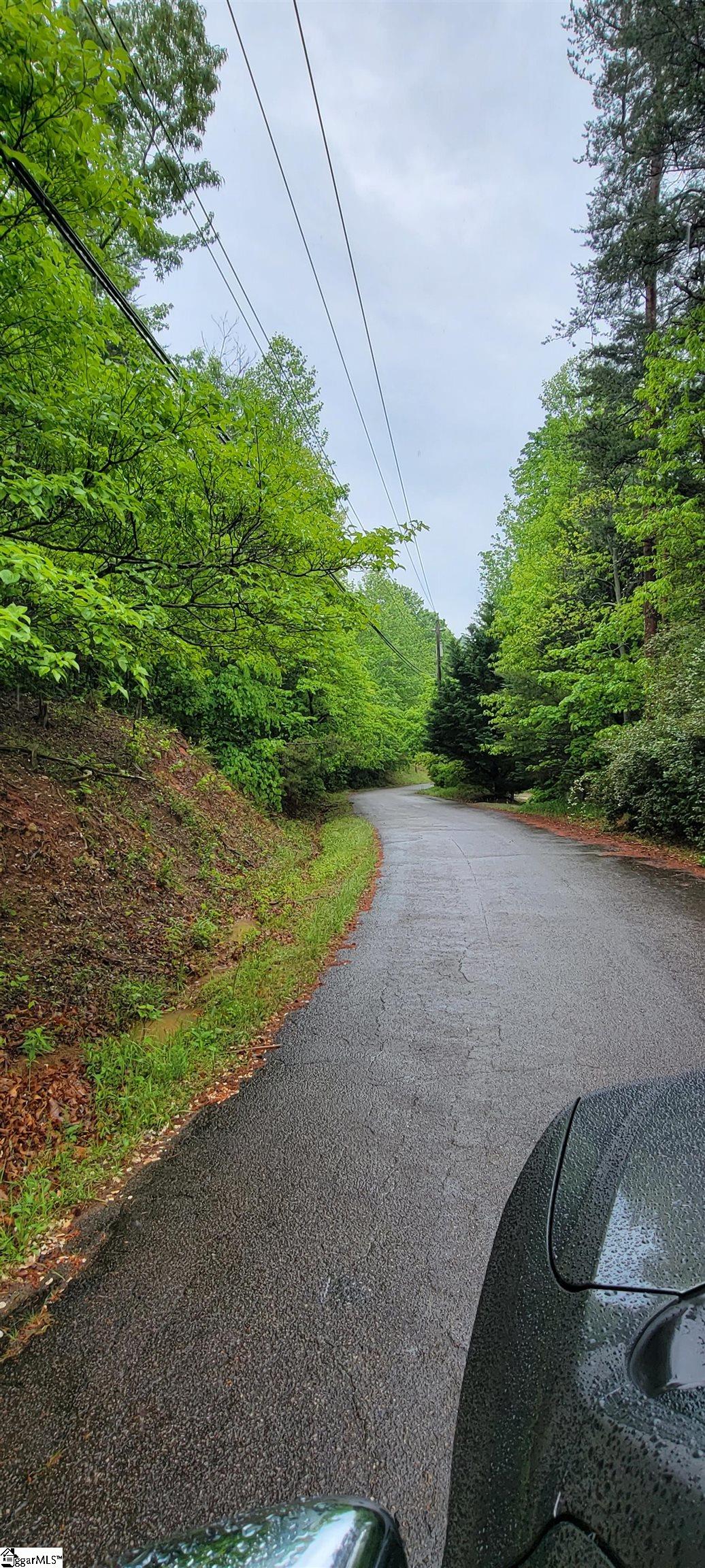 0 Glendlyon Circle Landrum, SC 29356 - Photo 2 of 3
