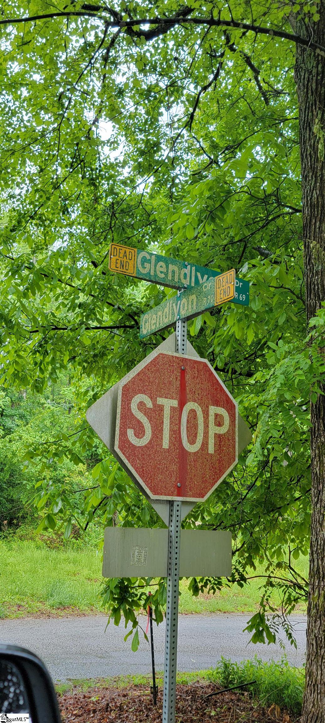 0 Glendlyon Circle Landrum, SC 29356 - Photo 3 of 3