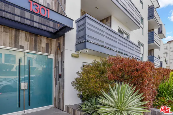 a view of a potted plants on the outside of the building