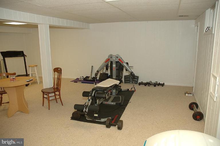 10181 Red Spruce Road Fairfax, VA 22032 - Photo 14 of 17 Recreation Room #2