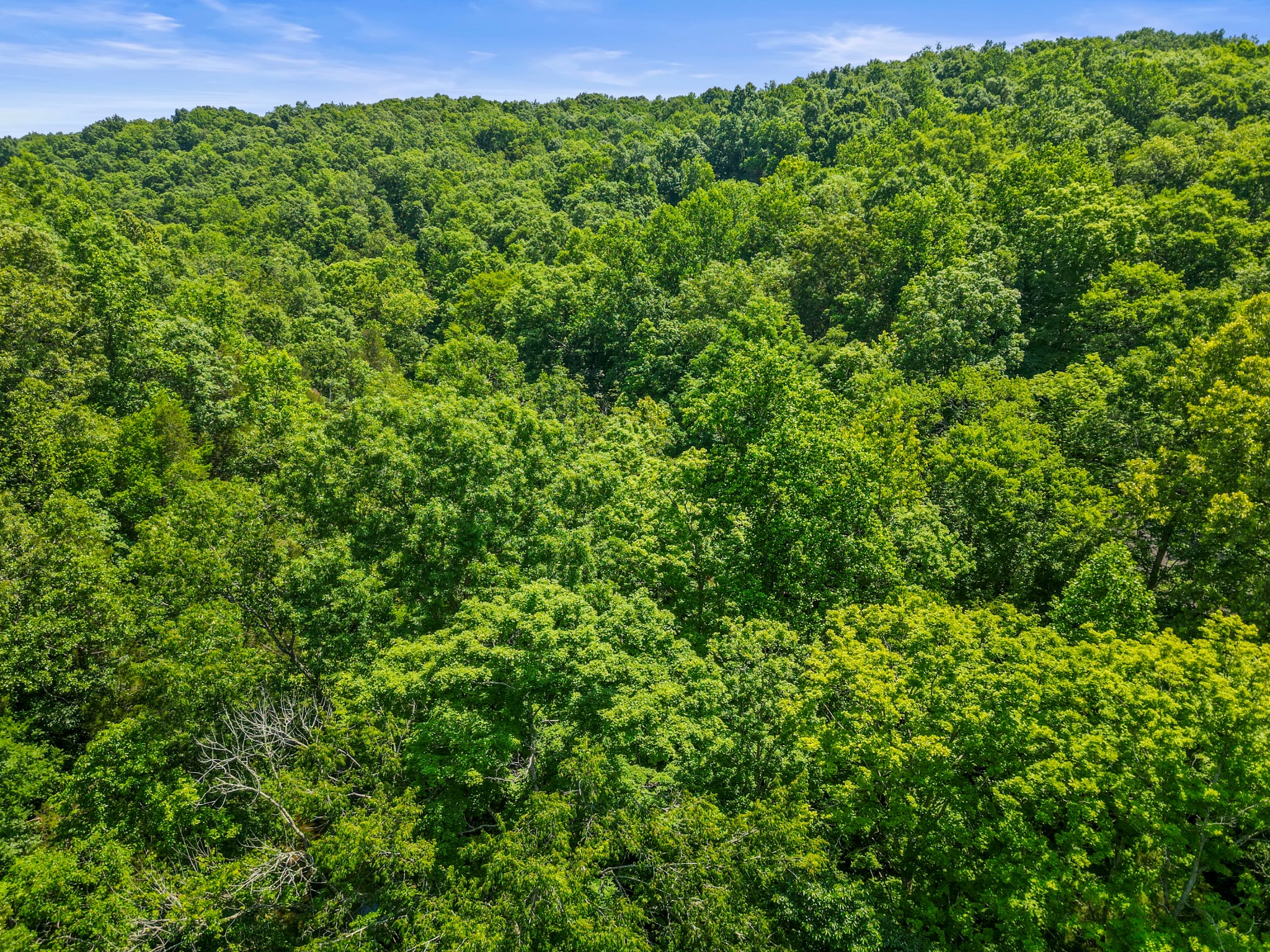1150 Treanor Springs Road Kingston Springs, TN 37082 - Photo 46 of 48